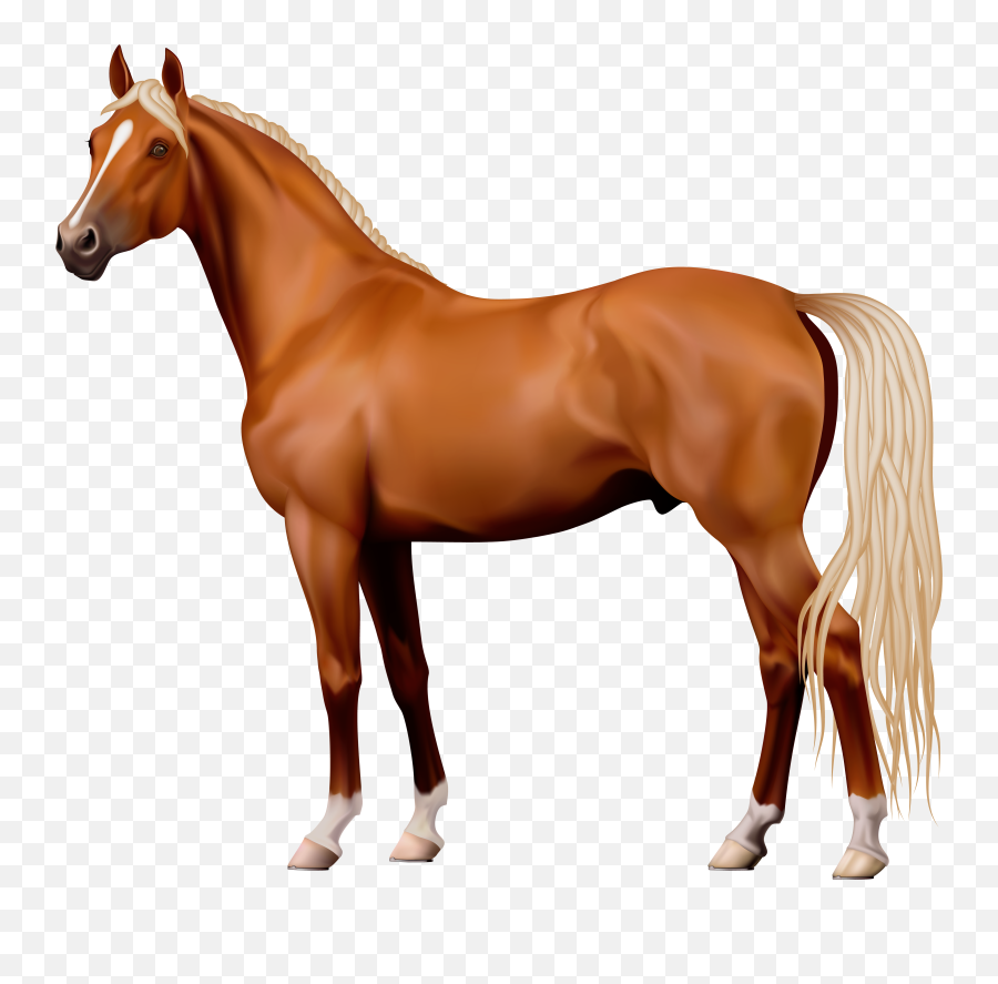 Png Free Brown Horse - Transparent Background Horse Clipart,Horse Transparent Png