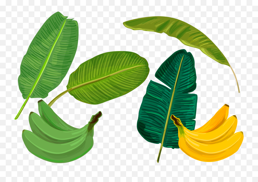 Banana Leaf Sadhya Transprent Png Free Download - Vector Tropical Yellow Leaves Png,Banana Leaf Png