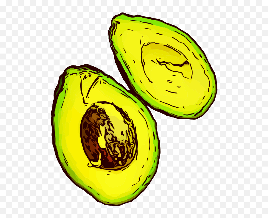 Basic Colour Avacado Sliced - Openclipart Clip Art Png,Avacado Png