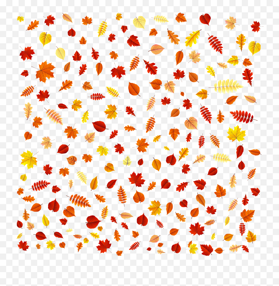 Fall Leaf Patterns Png Free Falling