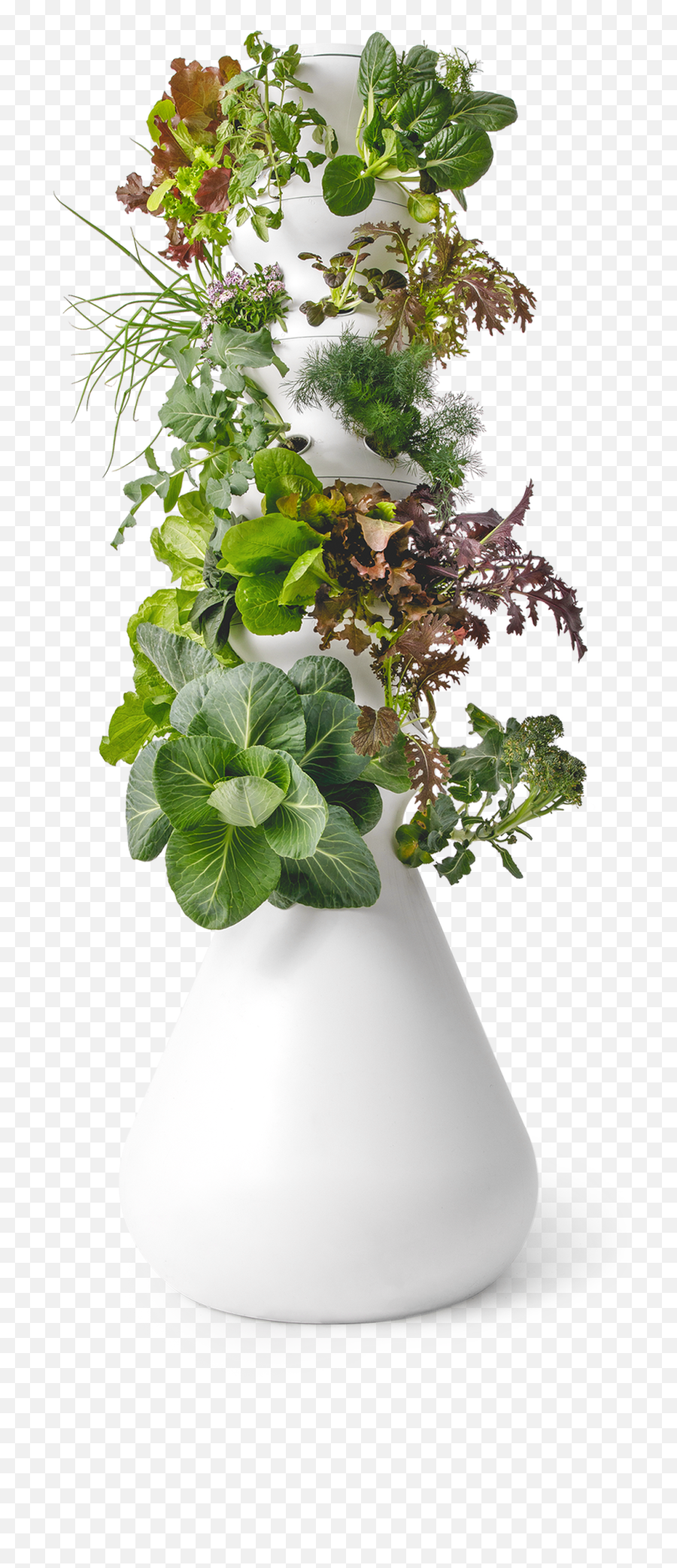 The Future Of Food Is Grow - Ityourself Lettuce Grow Farmstand Png,Growing Plant Png