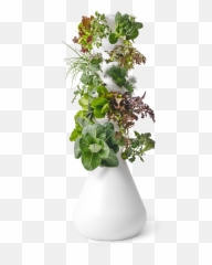 The Future Of Food Is Grow - ityourself Lettuce Grow Farmstand png