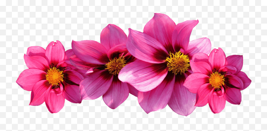 Aesthetic Flower Png Transparent Free - Flores Png,Pink Flower Png