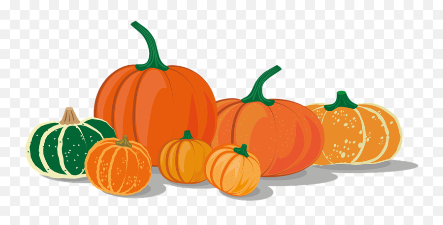 Over 300 Free Pumpkin Vectors - Pixabay Pixabay Pumpkins Drawing Png,Pumpkin Vector Png