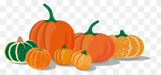 Over 300 Free Pumpkin Vectors - Pixabay Pumpkins Drawing png