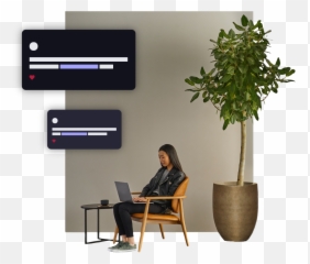 Ricochet Marketing Network Analytics - Houseplant Png,Ricochet Png