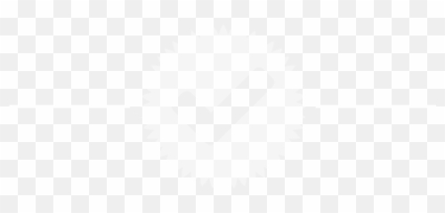 Sara - White Background png