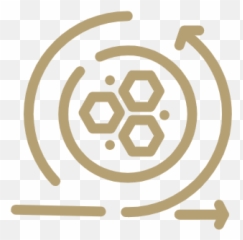 Cyber Security Maturity Assessments - PGI Cybersecurity Icon png
