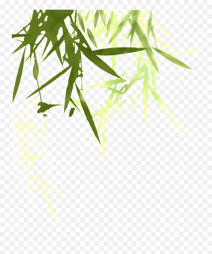Download Beautiful Bamboo Leaves Hd Png