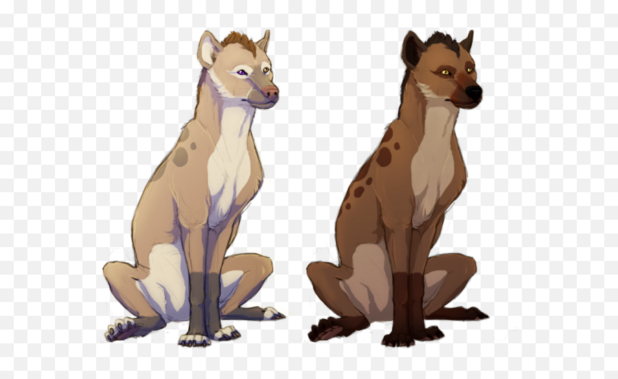 Hyena Png Transparent Background Image For Free Download 6 - Hyena Furry,Kangaroo Transparent Background