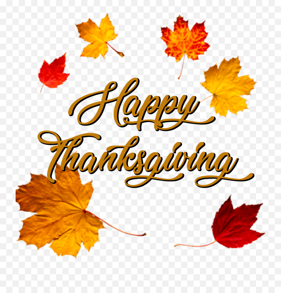 Download Hd Happy Thanksgiving Crown Of Autumn Leaves - Happy Thanksgiving Transparent Background Png,Autumn Leaves Png
