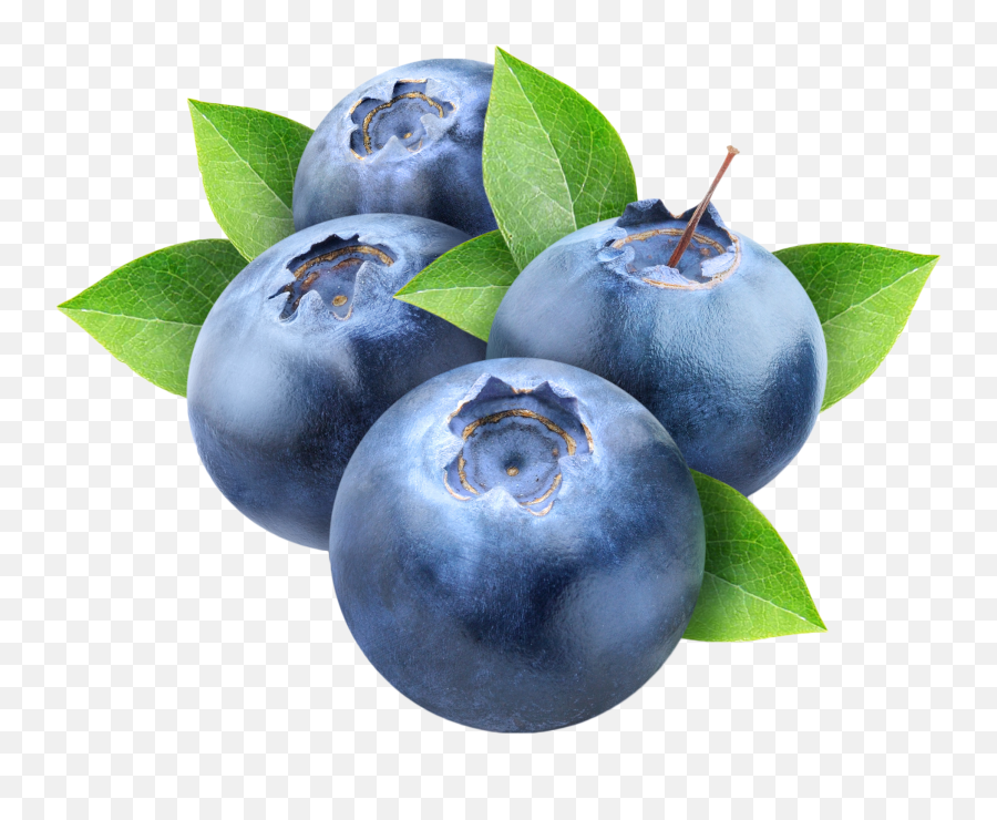 Index Of Wp - Contentuploads201903 Blueberry Transparent Background Png,Blueberries Png
