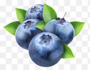 Index Of Wp - Contentuploads201903 Blueberry Transparent Background Png,Blueberries Png