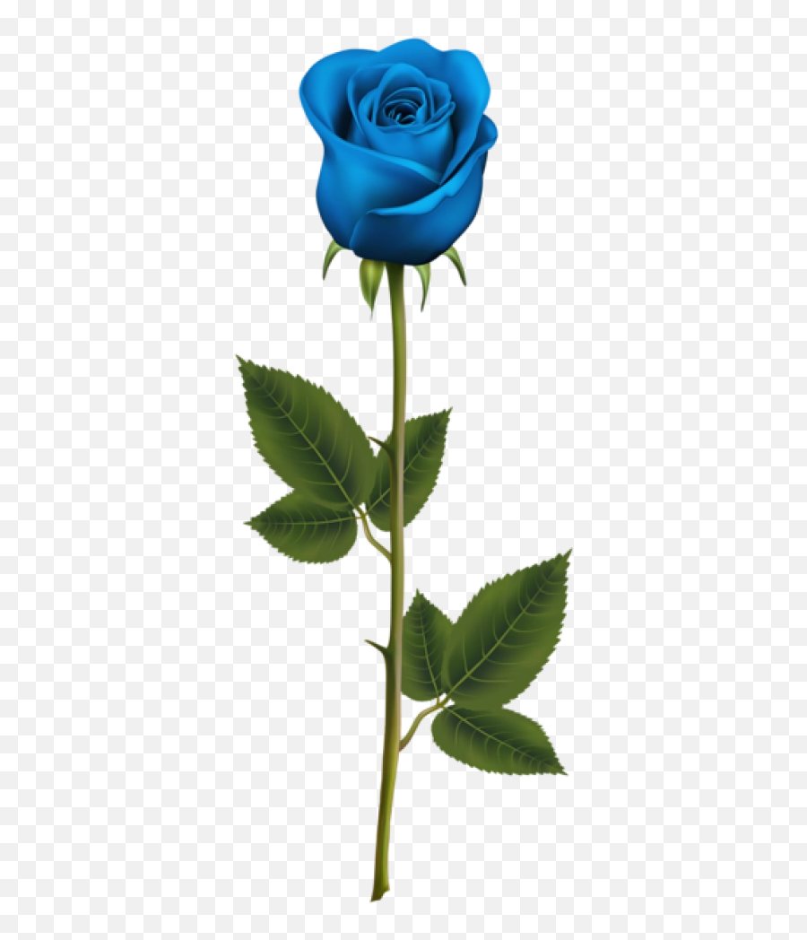 Florals Png And Vectors For Free - Long Stem Blue Rose,Florals Png