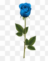 Florals Png And Vectors For Free - Long Stem Blue Rose,Florals Png