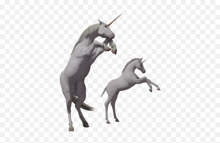 Unicorn Foals Transparent Background - Portable Network Graphics Png,Unicorn Transparent Background