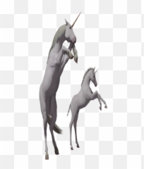 Unicorn Foals Transparent Background - Portable Network Graphics png
