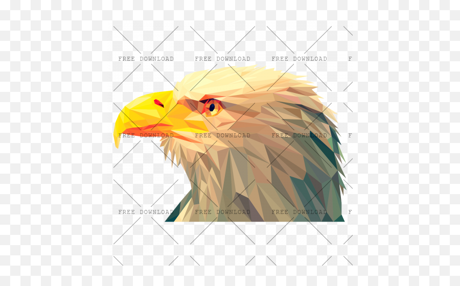 Eagle Hawk Kite Bird Png Image With Transparent Background Vulture