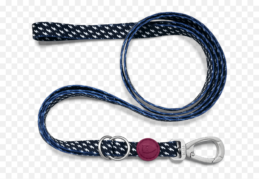 Download Multifunction Dog Leash - Chain Png,Leash Png