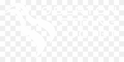 Oberton String Octet - Graphic Design Png,String Png