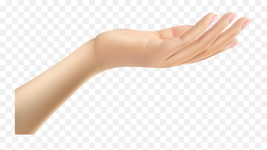 Hand Clipart Png Transparent - Arm And Hand Png,Boi Hand Transparent