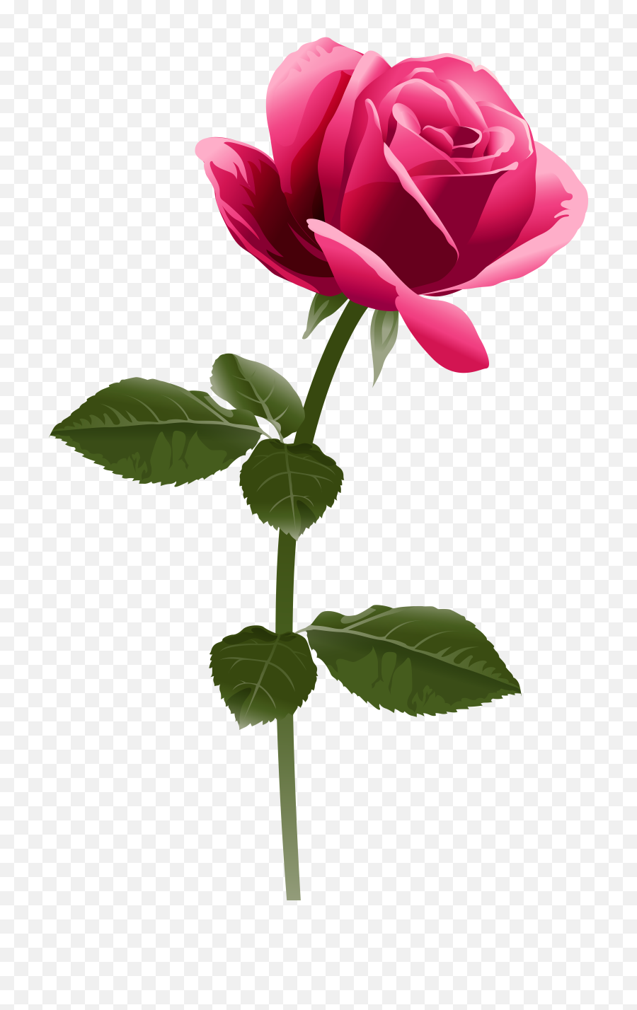 Pink Rose Png Clip Art Image - Pink Rose Png Transparent,Pink Roses Png