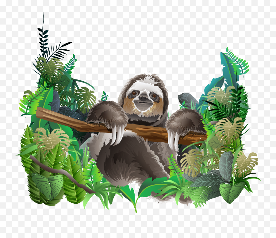 Rainforest Animals Png Picture