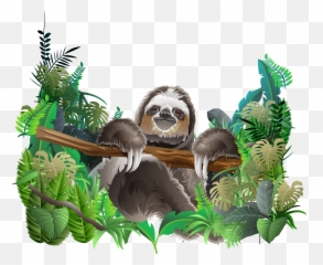 Rainforest Animals Png Picture
