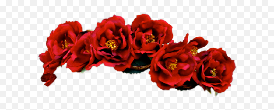 Transparent Flower Crowns - Flower Crown Png Red,Flower Crown Transparent
