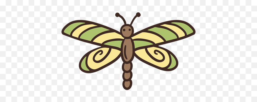 Cute Dragon Fly Insect - Insects Png,Dragon Fly Png
