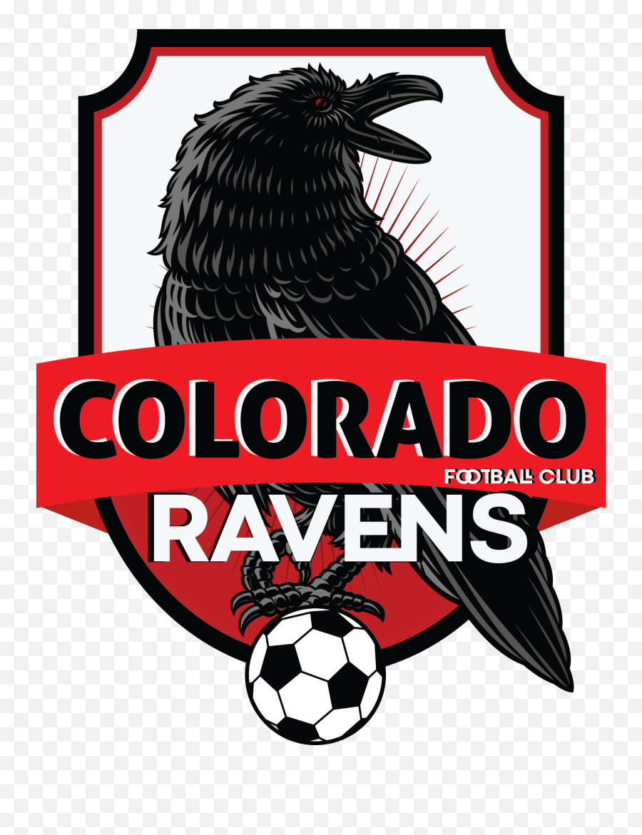 Colorado Ravens U2013 Creation Media - Graphic Design Png,Ravens Logo Images