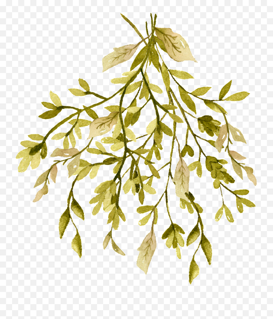Cartoon Leaf Png - Autumn Dense Branches Cartoon Transparent Tree,Twig Png
