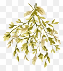 Cartoon Leaf Png - Autumn Dense Branches Cartoon Transparent Tree,Twig Png