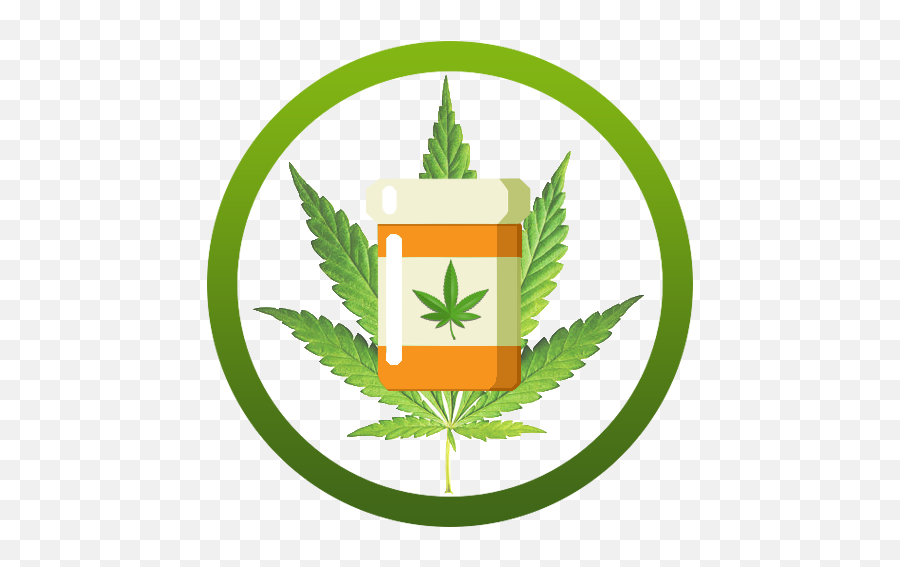 Medical Marijuana Instagram Icon - Digital Creative Products Foglia Marijuana Png,Instagram Logo Icon