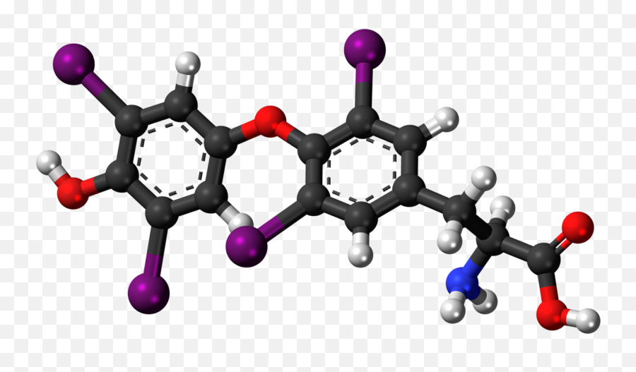 Filelevothyroxine 3d Ballpng - Wikipedia Hormonas Png,3d Sphere Png