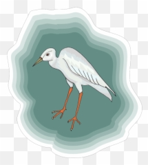 Heron With Green Background Png Svg - Pé De Garça,Heron Icon