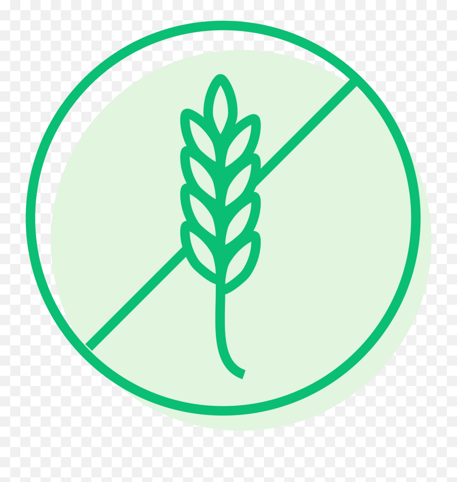 Vegetarian - Fresh Png,Gbi Icon