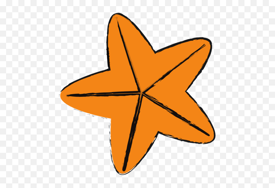 Sea Star - Canva Png,Sea Star Icon