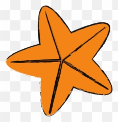 Sea Star - Canva png