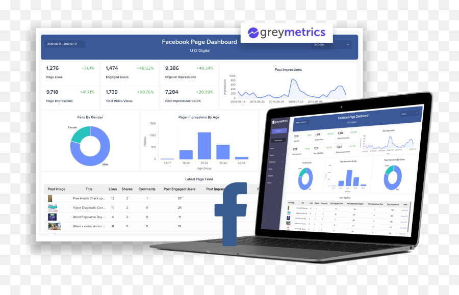 Facebook Page Insights Dashboard Software For Digital Agencies - Software Engineering Png,Facebook Icon For Web Page