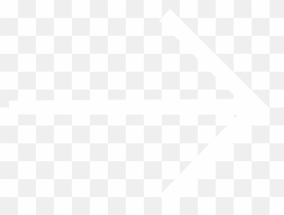 Beautiful Preserved And Dried Flowers - Right White Arrow Black Background Png,Continue Shopping Icon