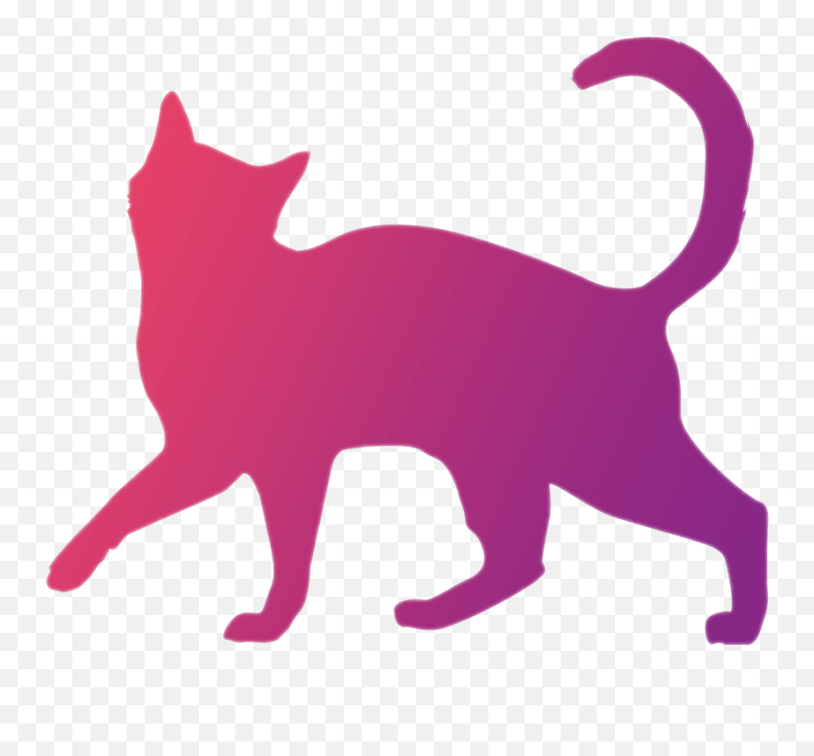 Download Cat Icon Min - Cat Icon Png Transparent,Cat Icon Png