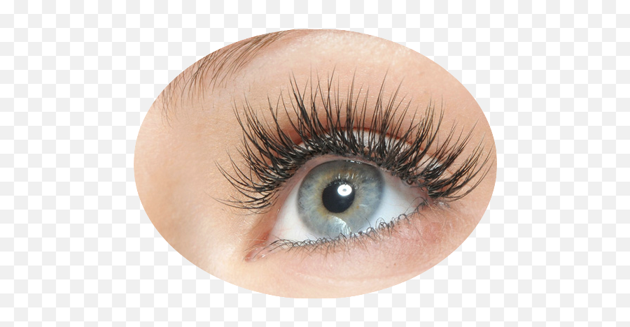 Eyelash Extensions Mariposa Hair - Ilia Shadow Of A Doubt Mascara Png,Eyelashes Png