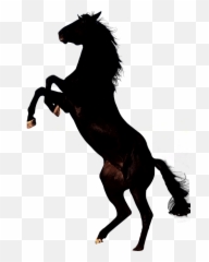 Mustang Horse Transparent Png Clipart - Black