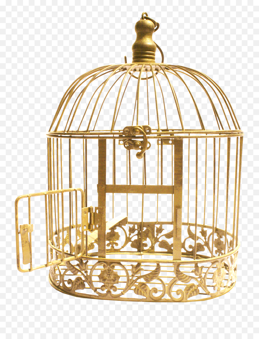 Cage Bird Png Transparent