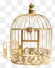 Cage Bird Png Transparent