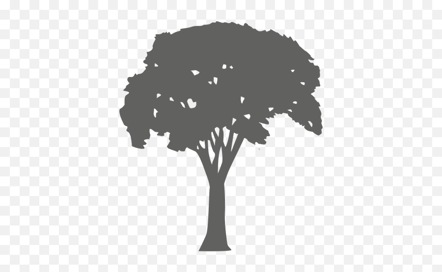Tree Silhouette 13 - Transparent Png U0026 Svg Vector File Silueta De Árbol Png,Tree Silhouette Png