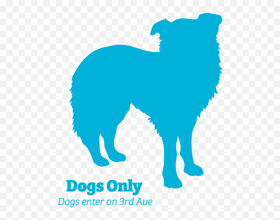 Brooklyn Animal Hospital - Veterinary Wellness Center Of Language Png,Dog Head Icon