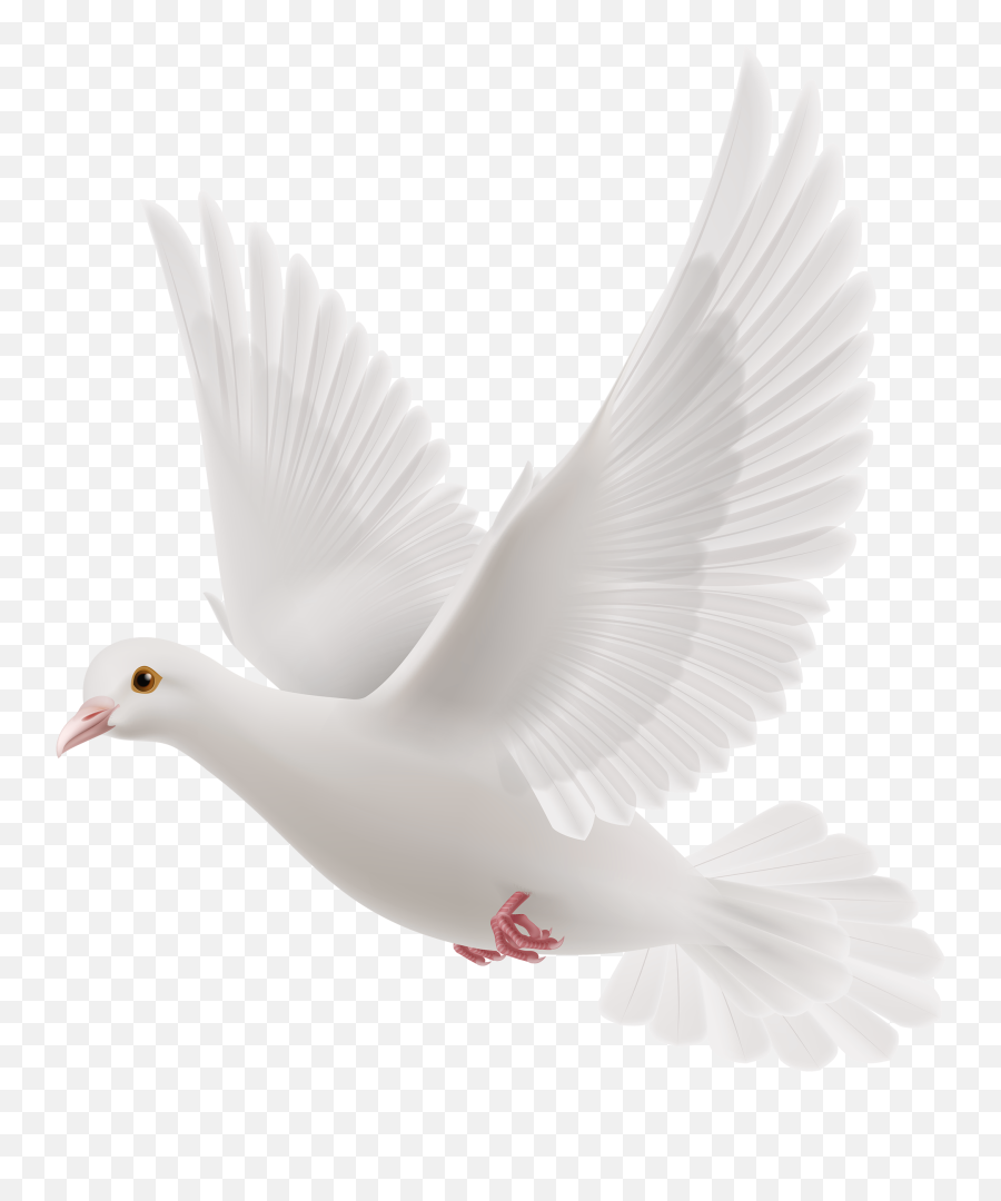 Funeral Doves Transparent Png Clipart - Transparent White Dove Png,Dove Transparent