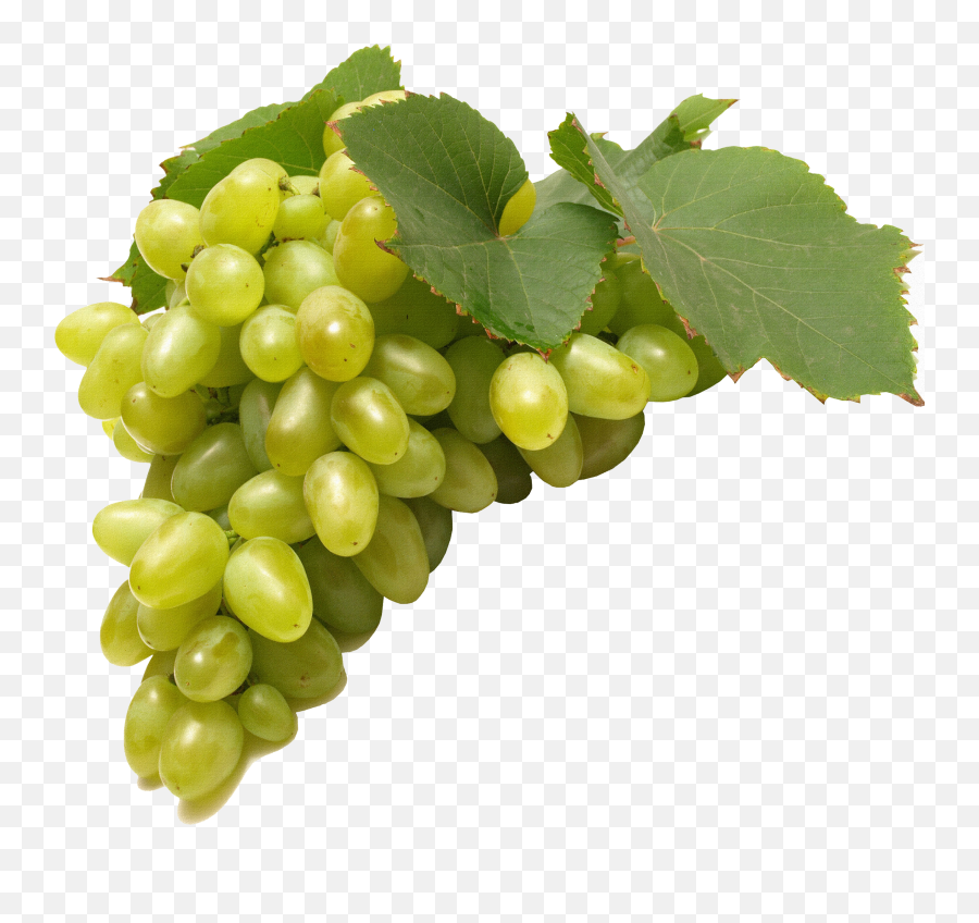 Green Grapes Png Image - Green Grapes Fruit Png,Grapes Png